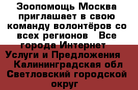 Зоопомощь.Москва приглашает в свою команду волонтёров со всех регионов - Все города Интернет » Услуги и Предложения   . Калининградская обл.,Светловский городской округ 